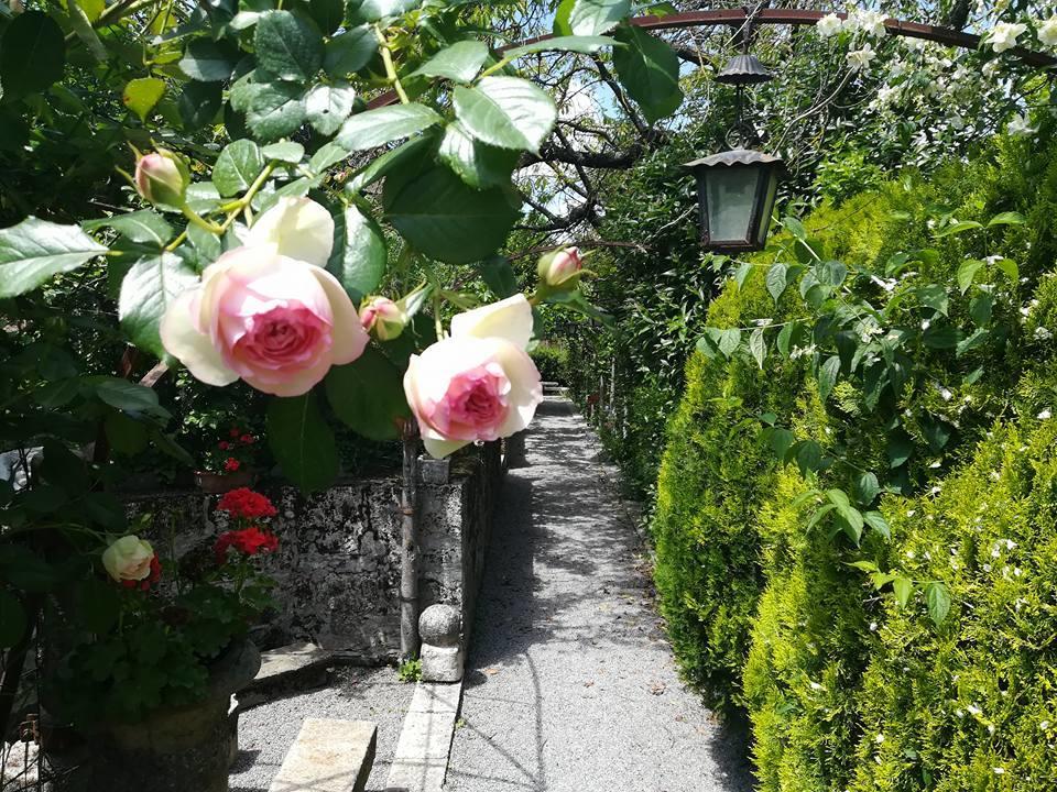 Residenza Dei Ricci Bed & Breakfast Chiusi Exterior photo